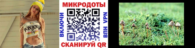 Псилоцибиновые грибы ЛСД Волхов