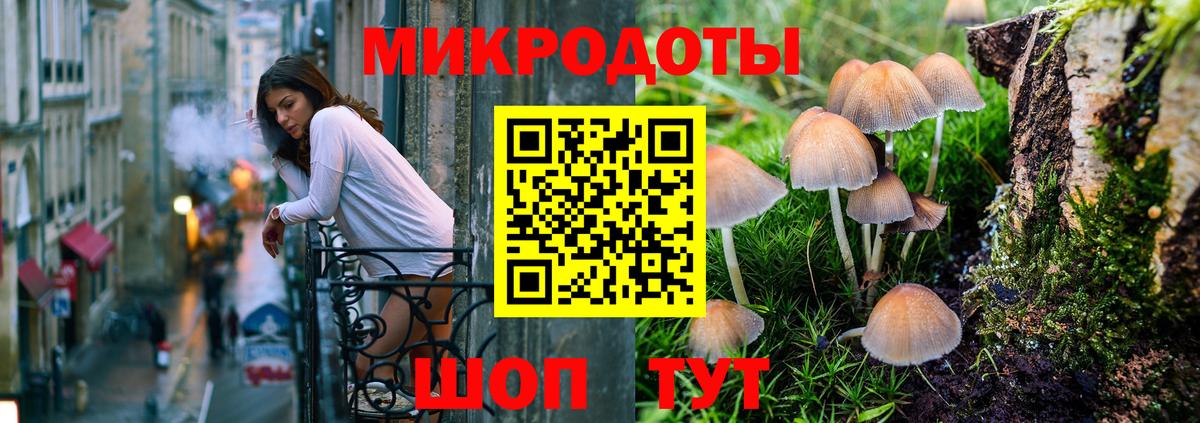Псилоцибиновые грибы Cubensis Волхов